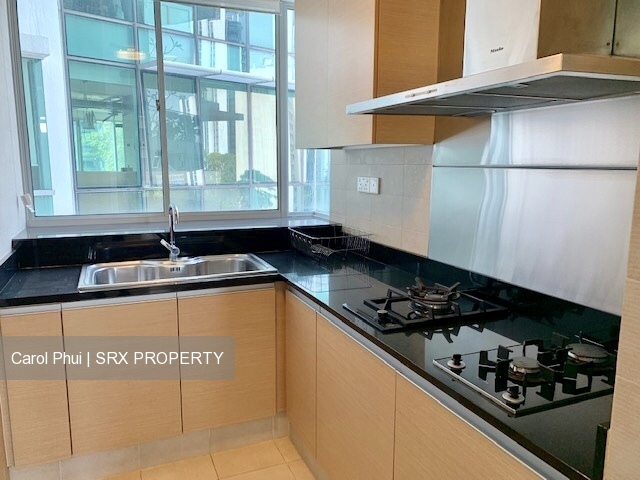 The Grange (D10), Condominium #208314361